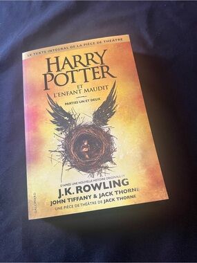 Harry Potter et l'Enfant Maudit Parties 1 et 2 French Edition Script J.K Rowling